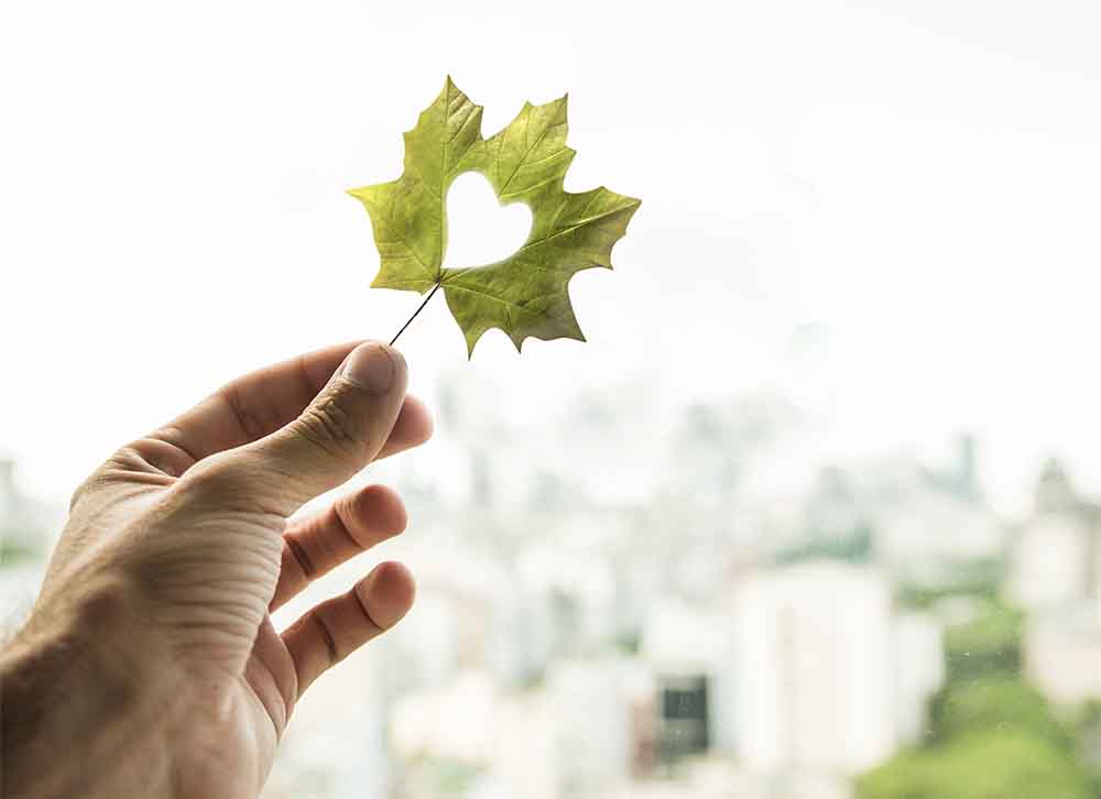 ABUIABACGAAg4qL2xwYogKjPETDoBzjWBQ